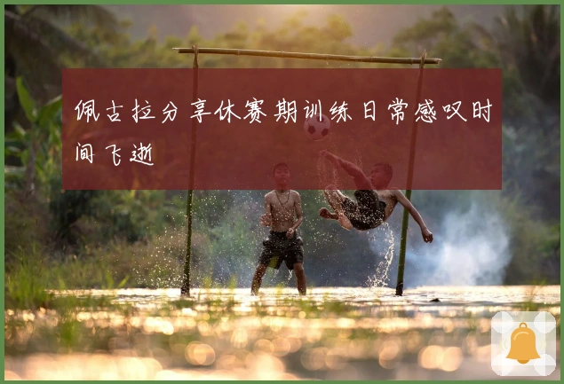 佩古拉分享休赛期训练日常感叹时间飞逝