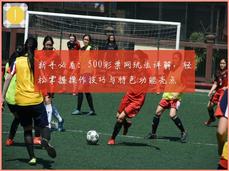 新手必看：500彩票网玩法详解，轻松掌握操作技巧与特色功能亮点