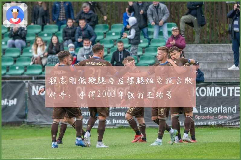 程志刚低鞭腿与后摆腿组合技击败对手，夺得2003年散打王称号