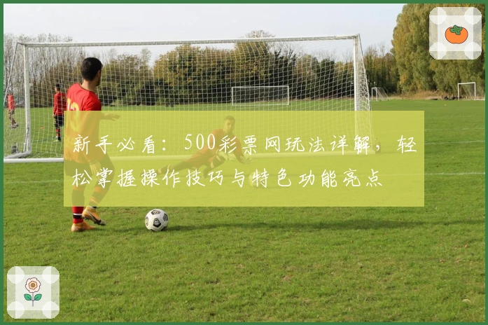 新手必看:500彩票网玩法详解,轻松掌握操作技巧与特色功能亮点